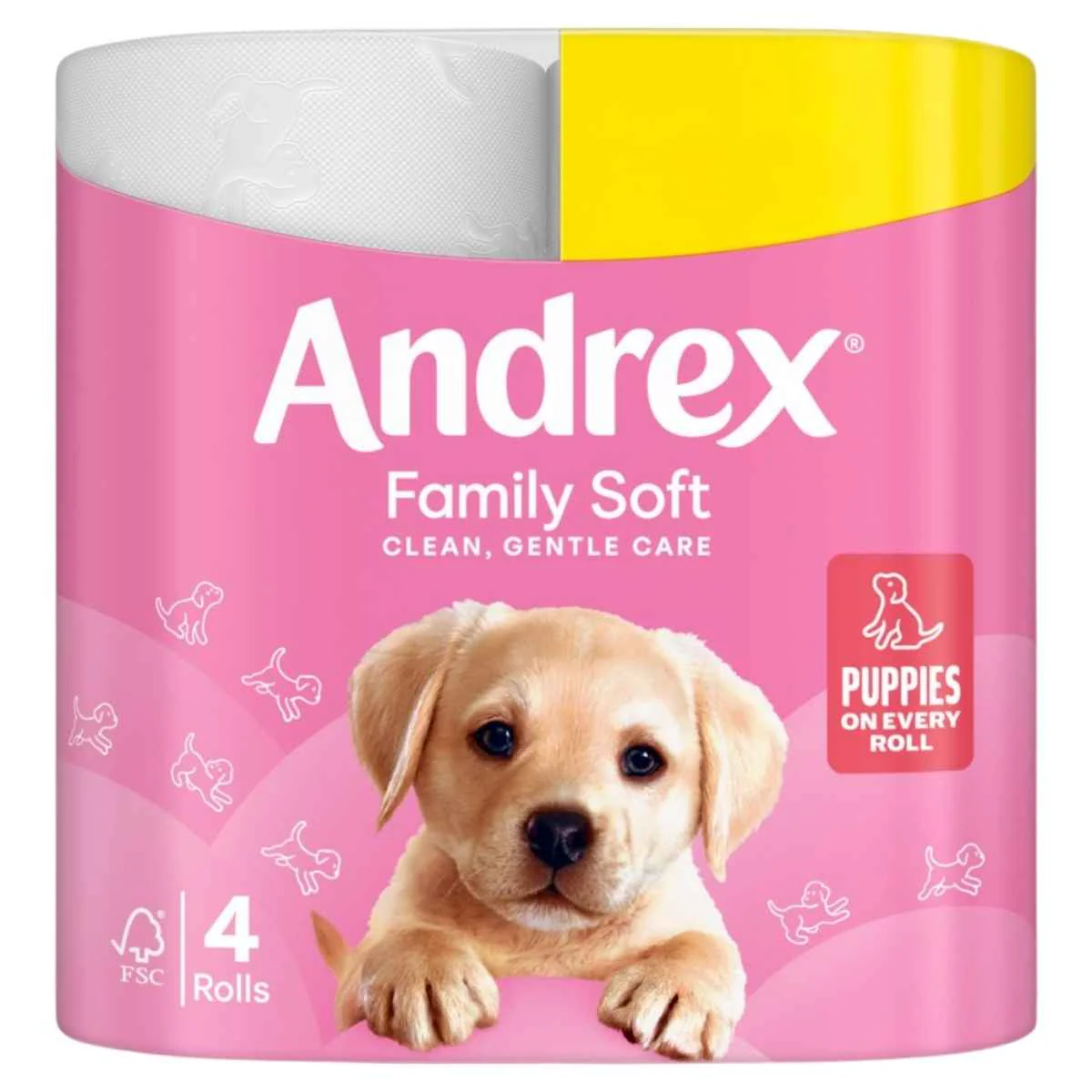 Andrex - Family Soft Toilet Tissue Rolls - 4 Rolls