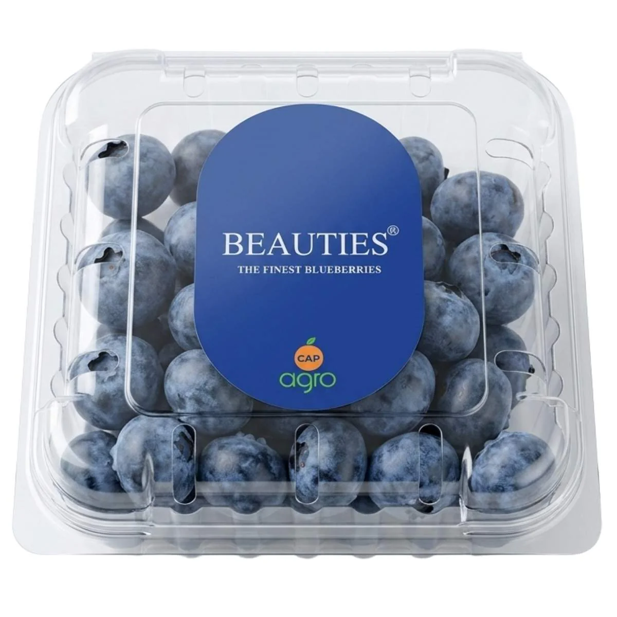 Beauties - Finest Blueberries - 125g