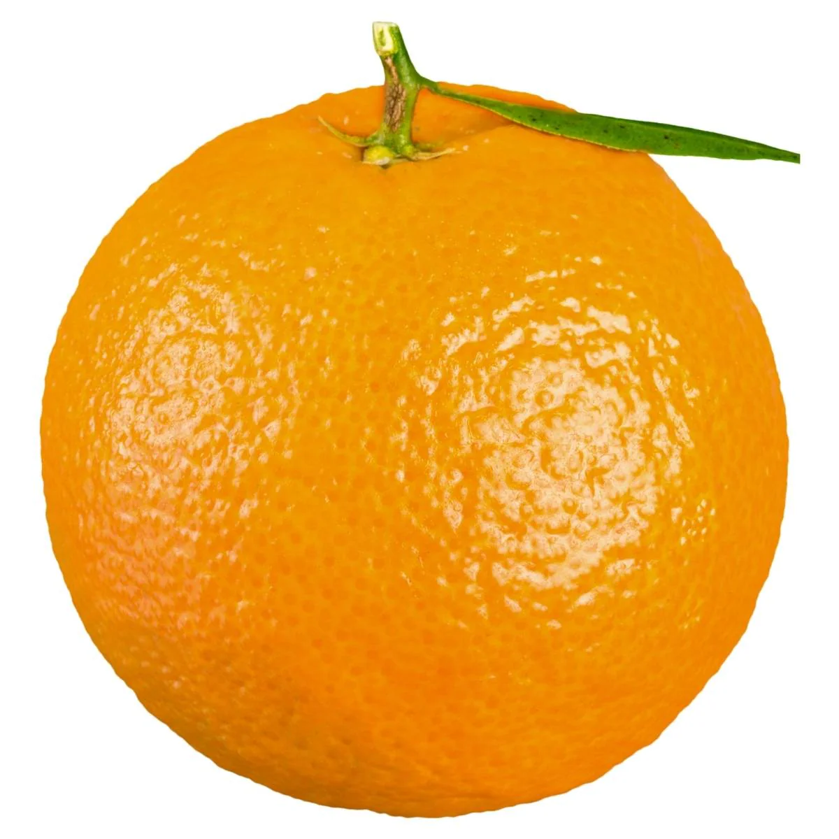 Oranges - Each