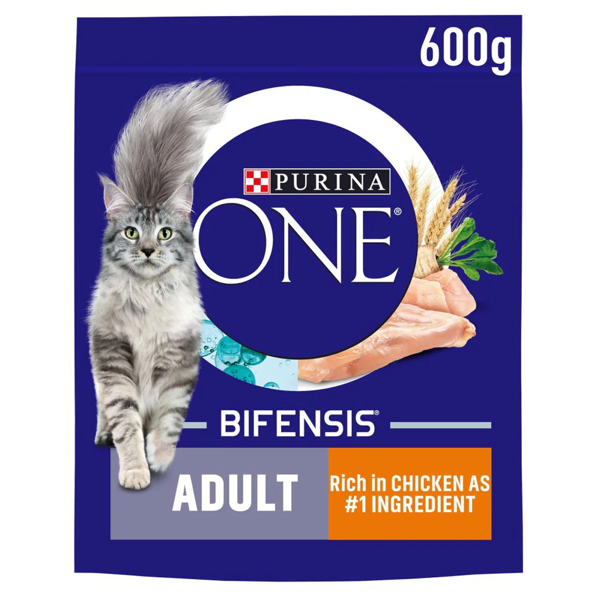 Purina - ONE® Adult Cat Rich in Chicken Dry Food - 600g