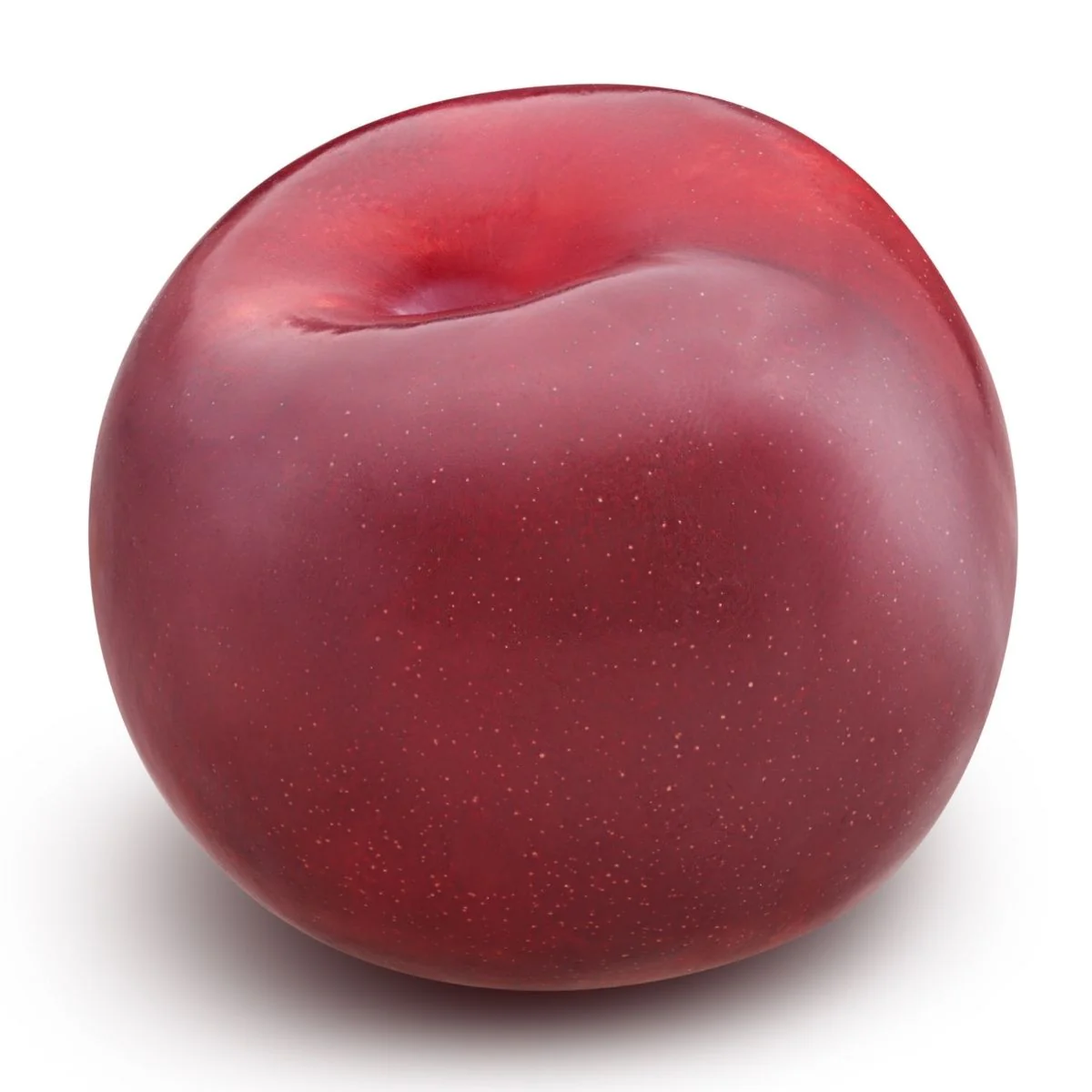 Red Plum - Each