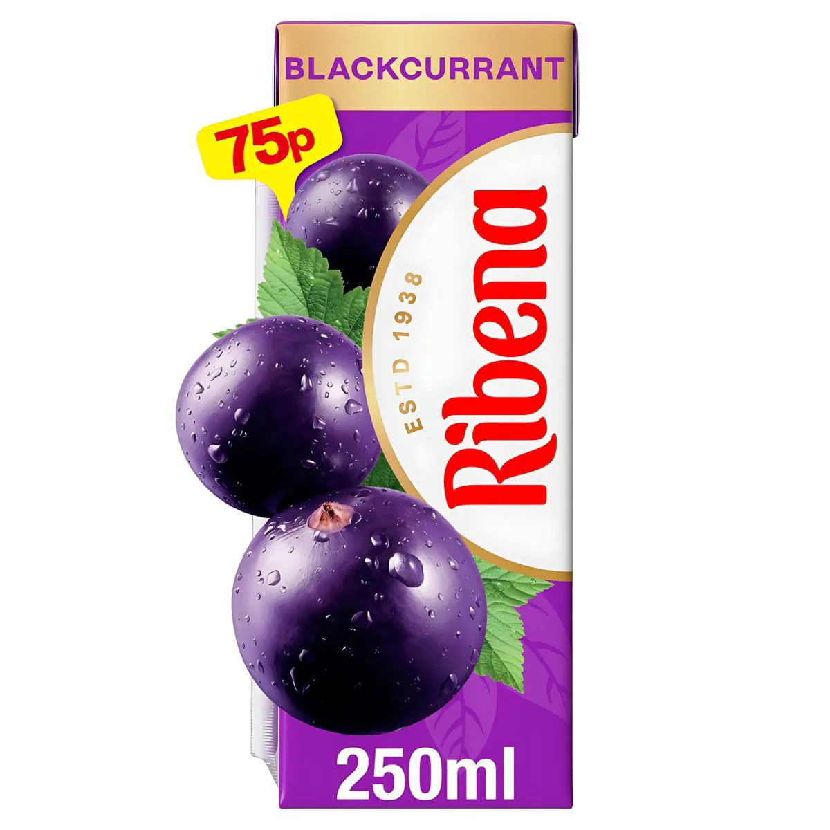 Ribena - Blackcurrant Carton Soft Drink - 250ml