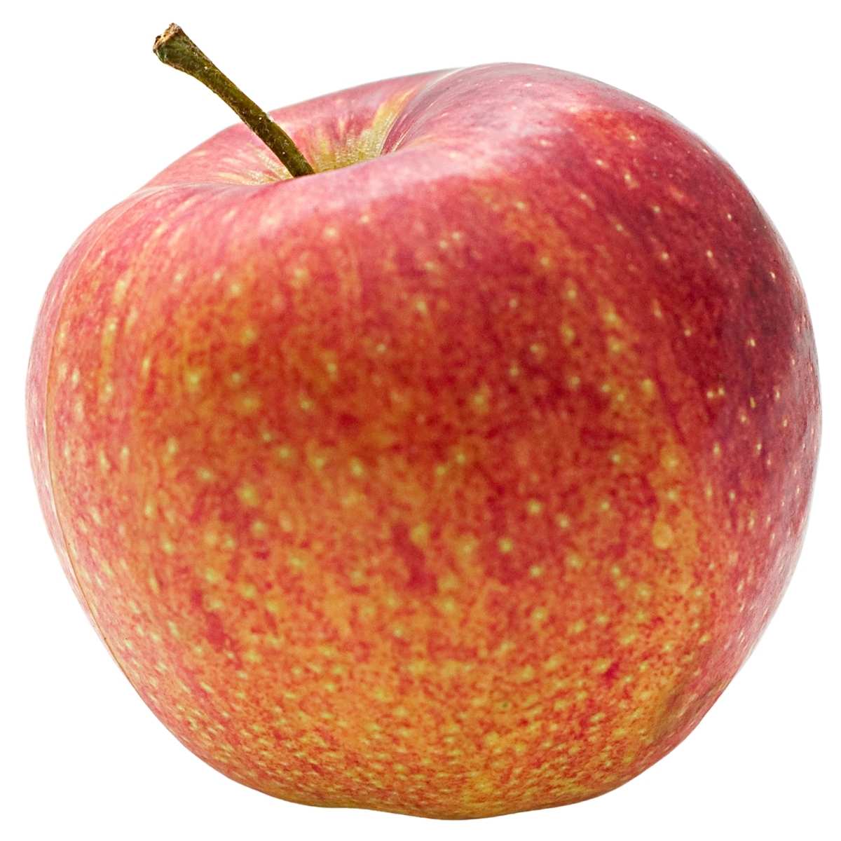 Royal Gala Apple - Each